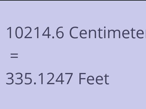 10214.6 CM TO FEET