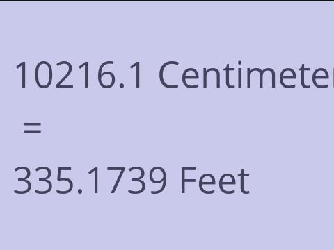 10216.1 CM TO FEET