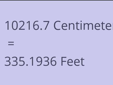 10216.7 CM TO FEET