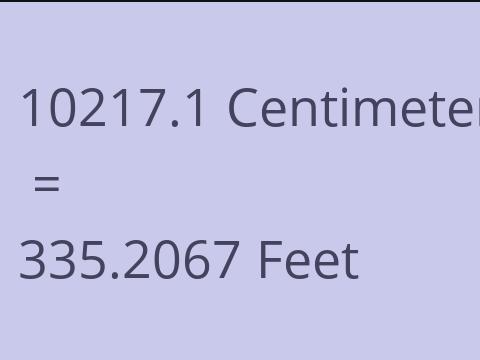 10217.1 CM TO FEET