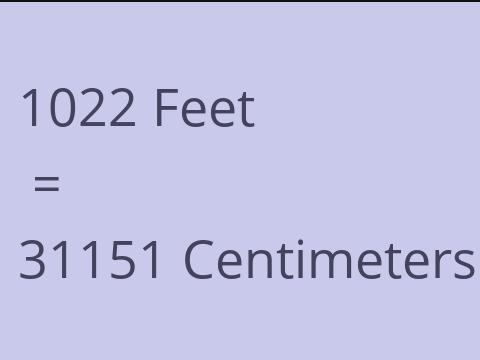 1022 FEET TO CM