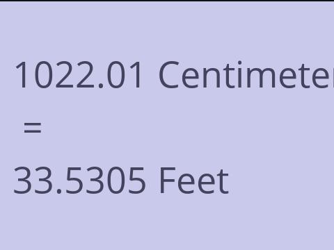 1022.01 CM TO FEET