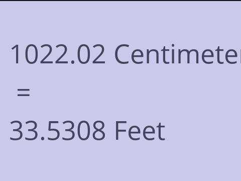 1022.02 CM TO FEET