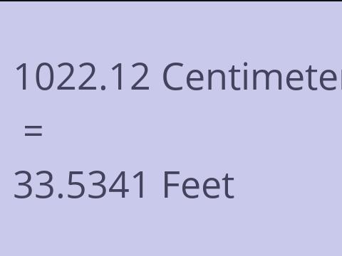 1022.12 CM TO FEET