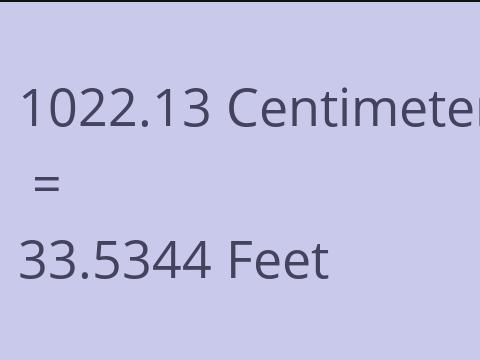 1022.13 CM TO FEET