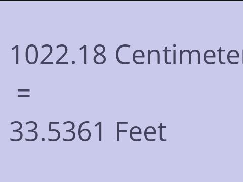 1022.18 CM TO FEET