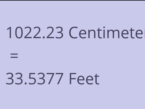 1022.23 CM TO FEET