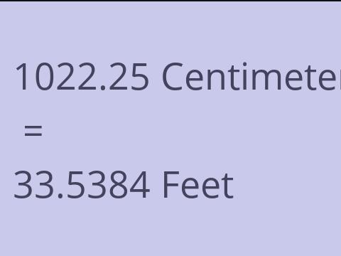 1022.25 CM TO FEET