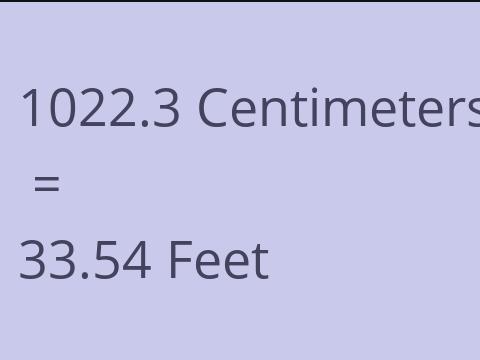 1022.3 CM TO FEET