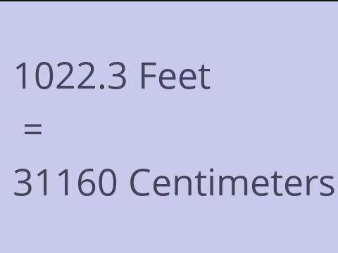 1022.3 FEET TO CM