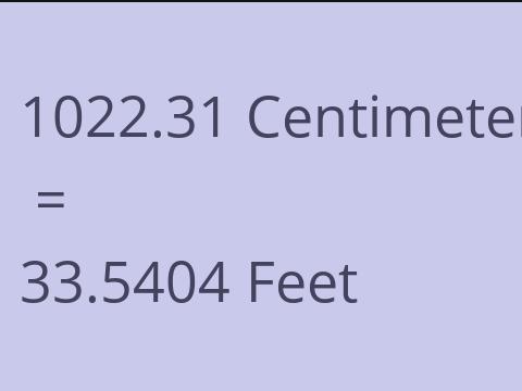 1022.31 CM TO FEET