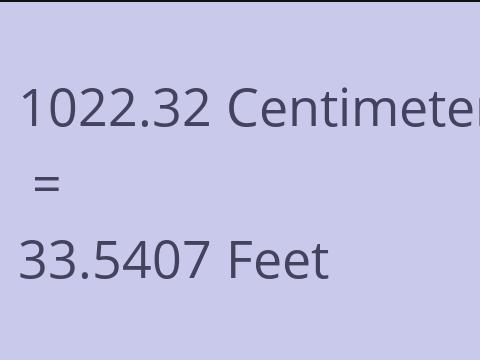 1022.32 CM TO FEET