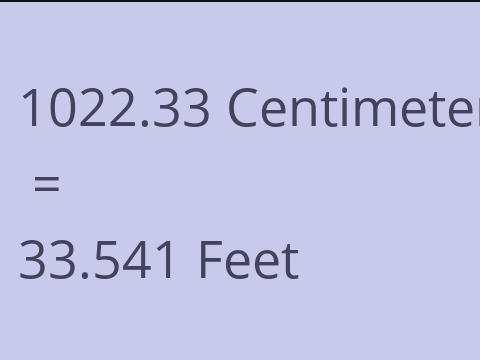 1022.33 CM TO FEET