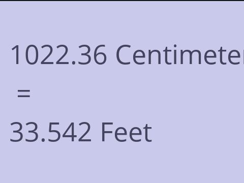 1022.36 CM TO FEET