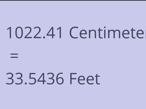 1022.41 CM TO FEET