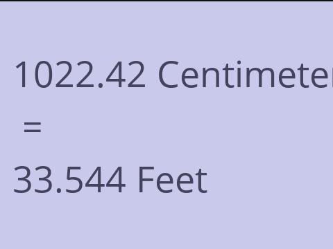 1022.42 CM TO FEET