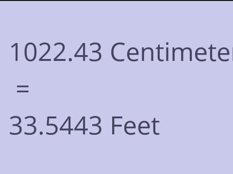 1022.43 CM TO FEET