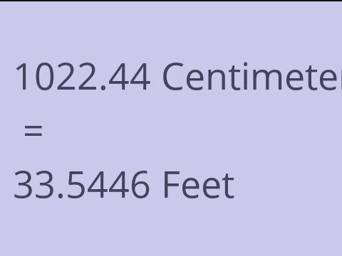 1022.44 CM TO FEET