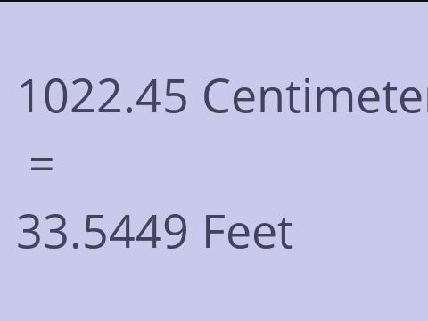 1022.45 CM TO FEET