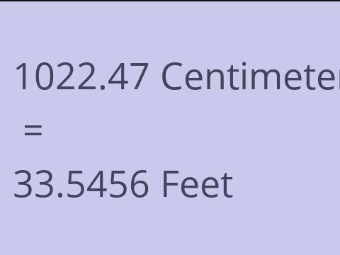 1022.47 CM TO FEET