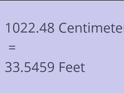 1022.48 CM TO FEET