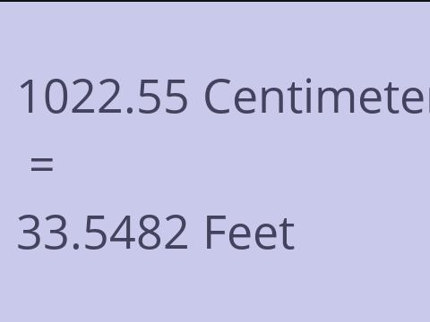 1022.55 CM TO FEET