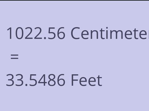 1022.56 CM TO FEET