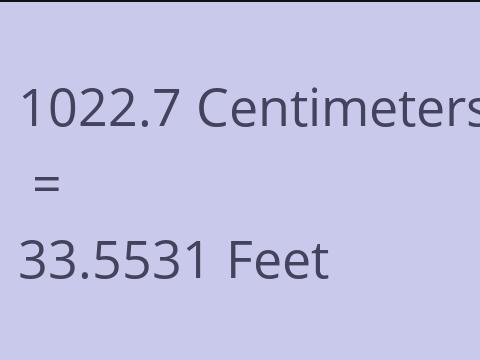 1022.7 CM TO FEET