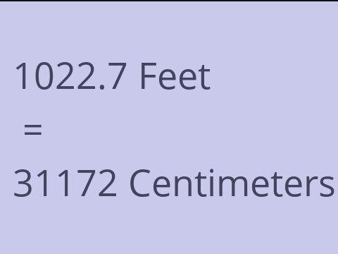 1022.7 FEET TO CM