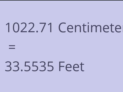 1022.71 CM TO FEET