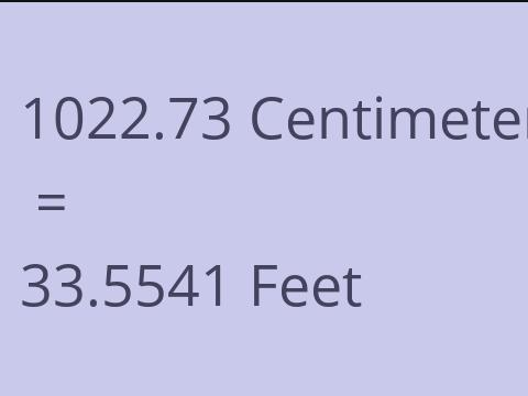 1022.73 CM TO FEET