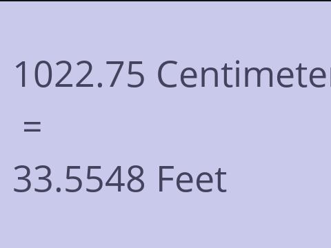 1022.75 CM TO FEET