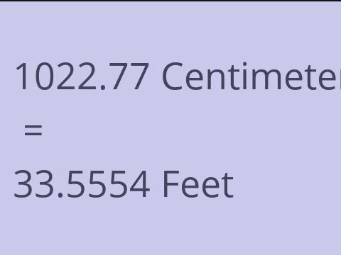 1022.77 CM TO FEET