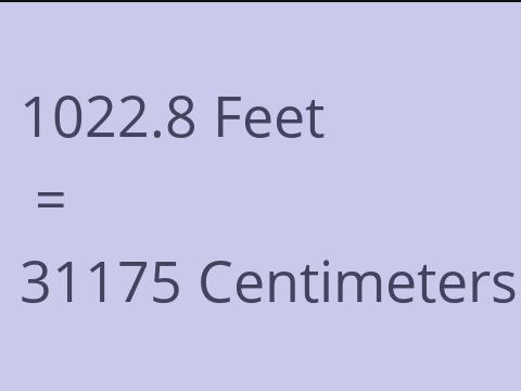 1022.8 FEET TO CM