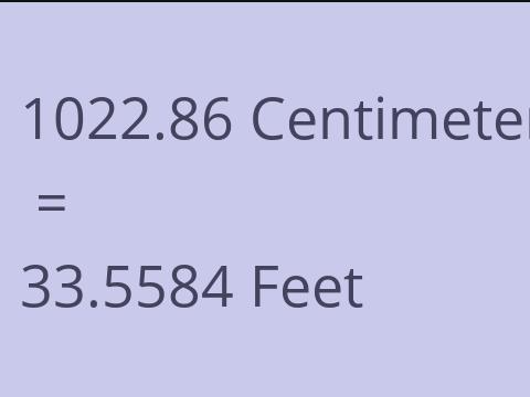 1022.86 CM TO FEET