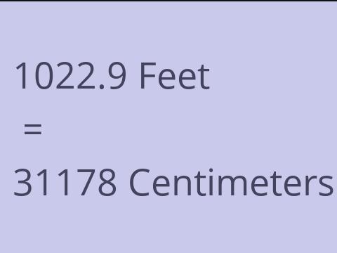 1022.9 FEET TO CM