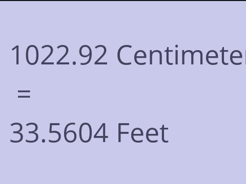 1022.92 CM TO FEET