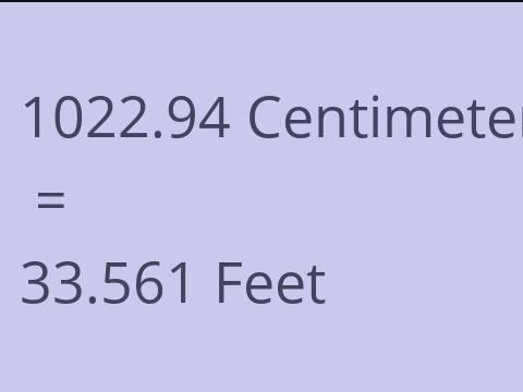 1022.94 CM TO FEET