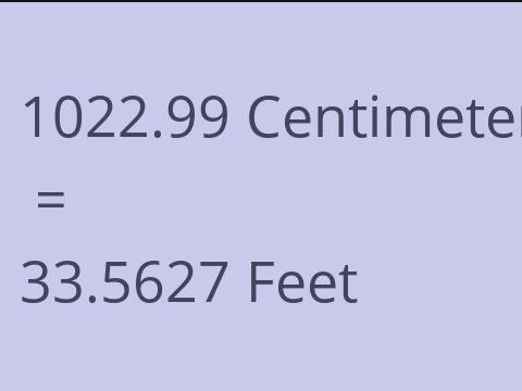 1022.99 CM TO FEET