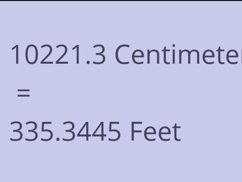 10221.3 CM TO FEET