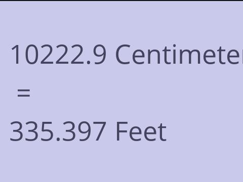 10222.9 CM TO FEET