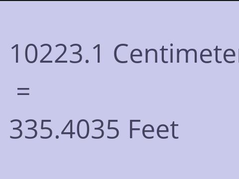 10223.1 CM TO FEET