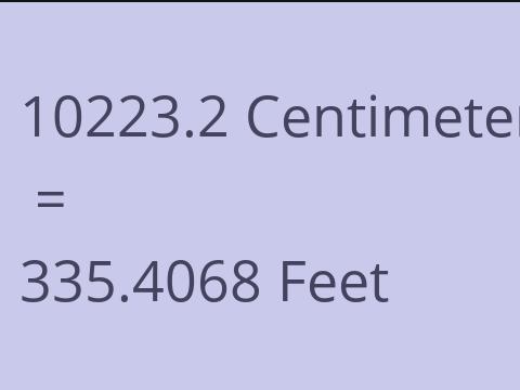 10223.2 CM TO FEET