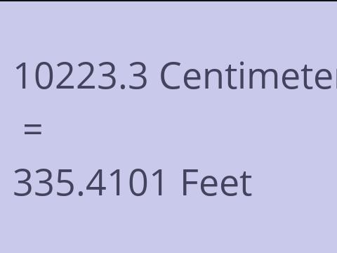 10223.3 CM TO FEET