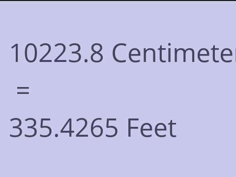 10223.8 CM TO FEET