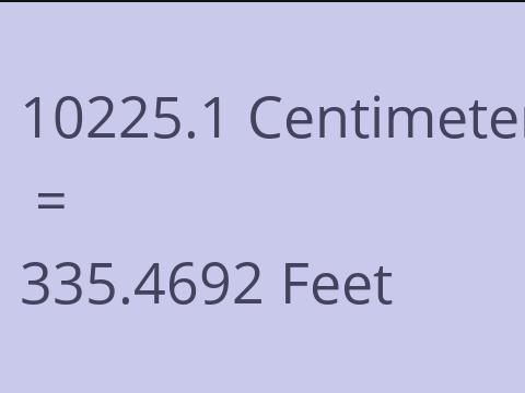 10225.1 CM TO FEET