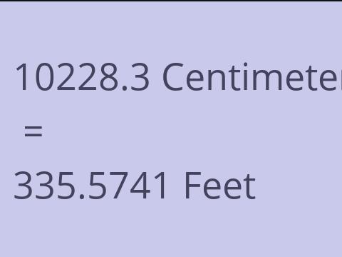 10228.3 CM TO FEET