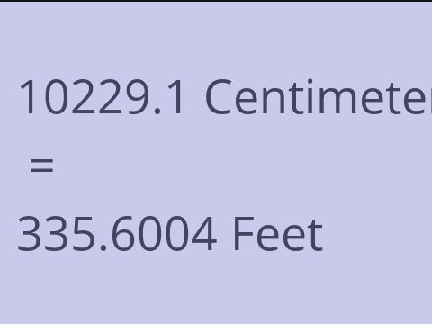 10229.1 CM TO FEET