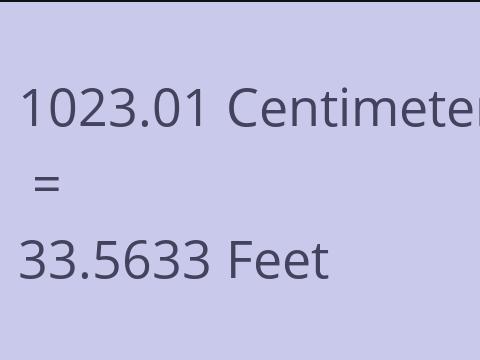 1023.01 CM TO FEET