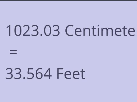 1023.03 CM TO FEET